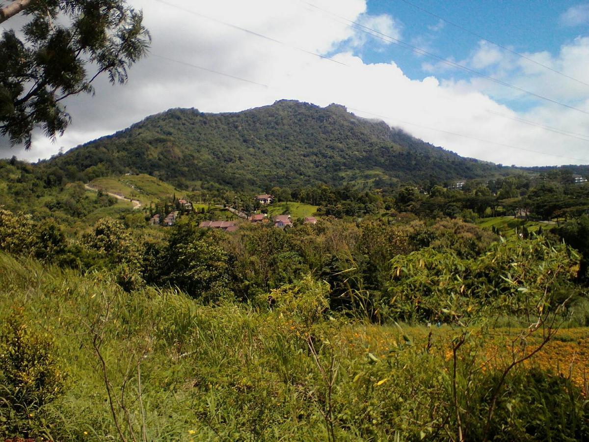 Red Z Cool Mountain Hotell Khao Kho Exteriör bild