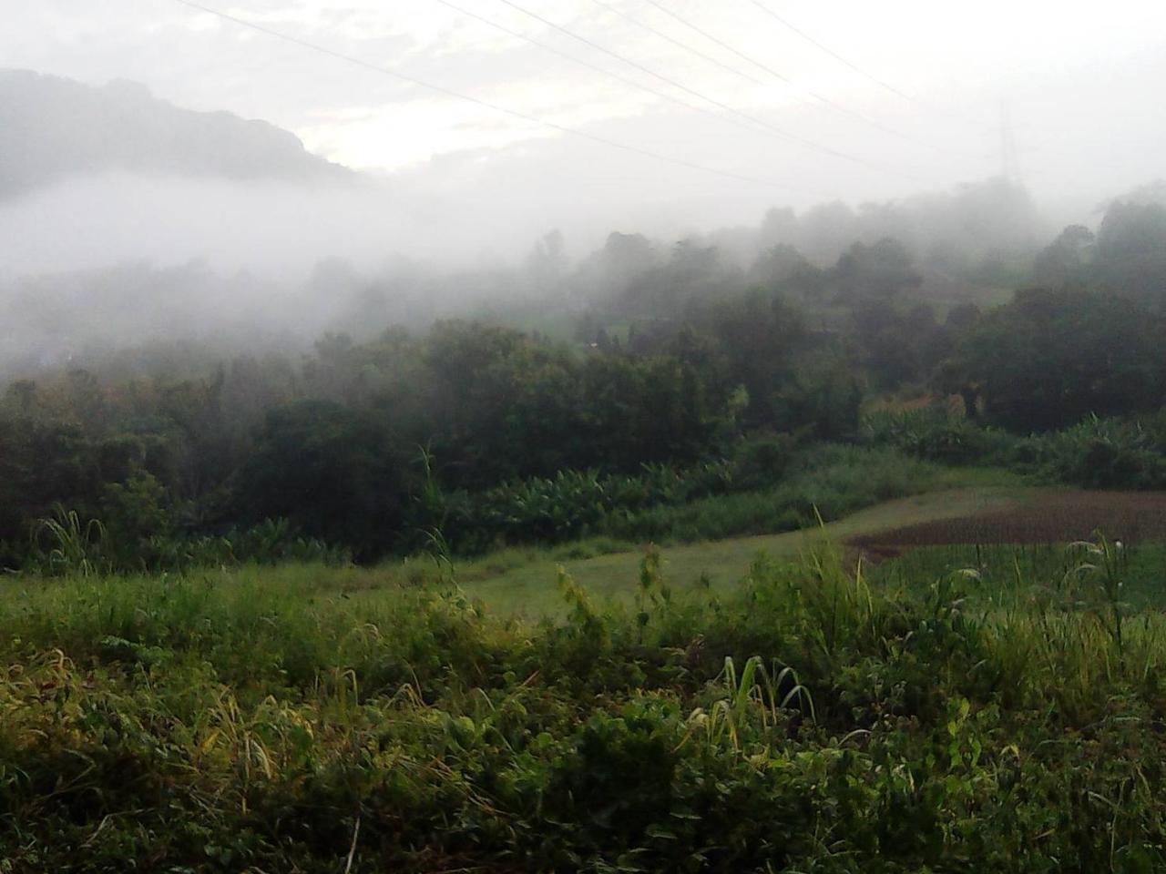 Red Z Cool Mountain Hotell Khao Kho Exteriör bild